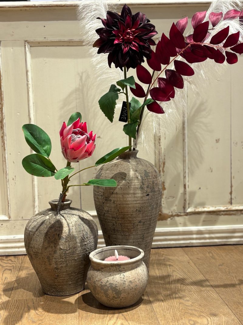 Protea silkeblomst – billede 3 fra Elinor of Elsinore