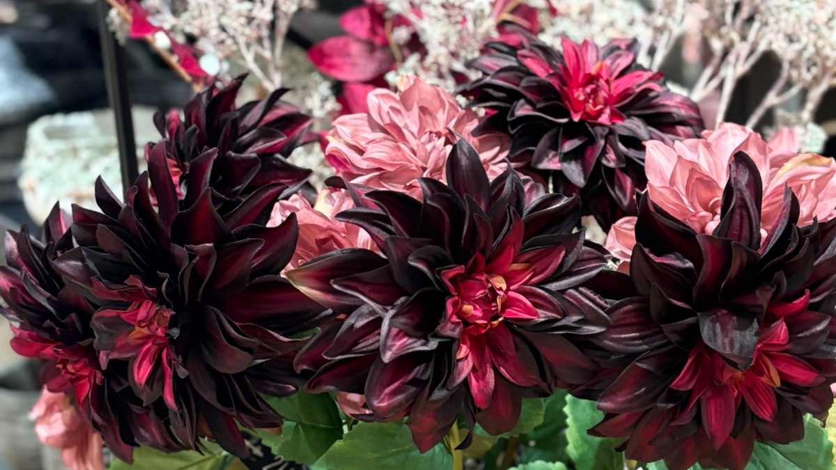Silkeblomst, Dahlia i farven bordeaux fra Elinor of Elsinore